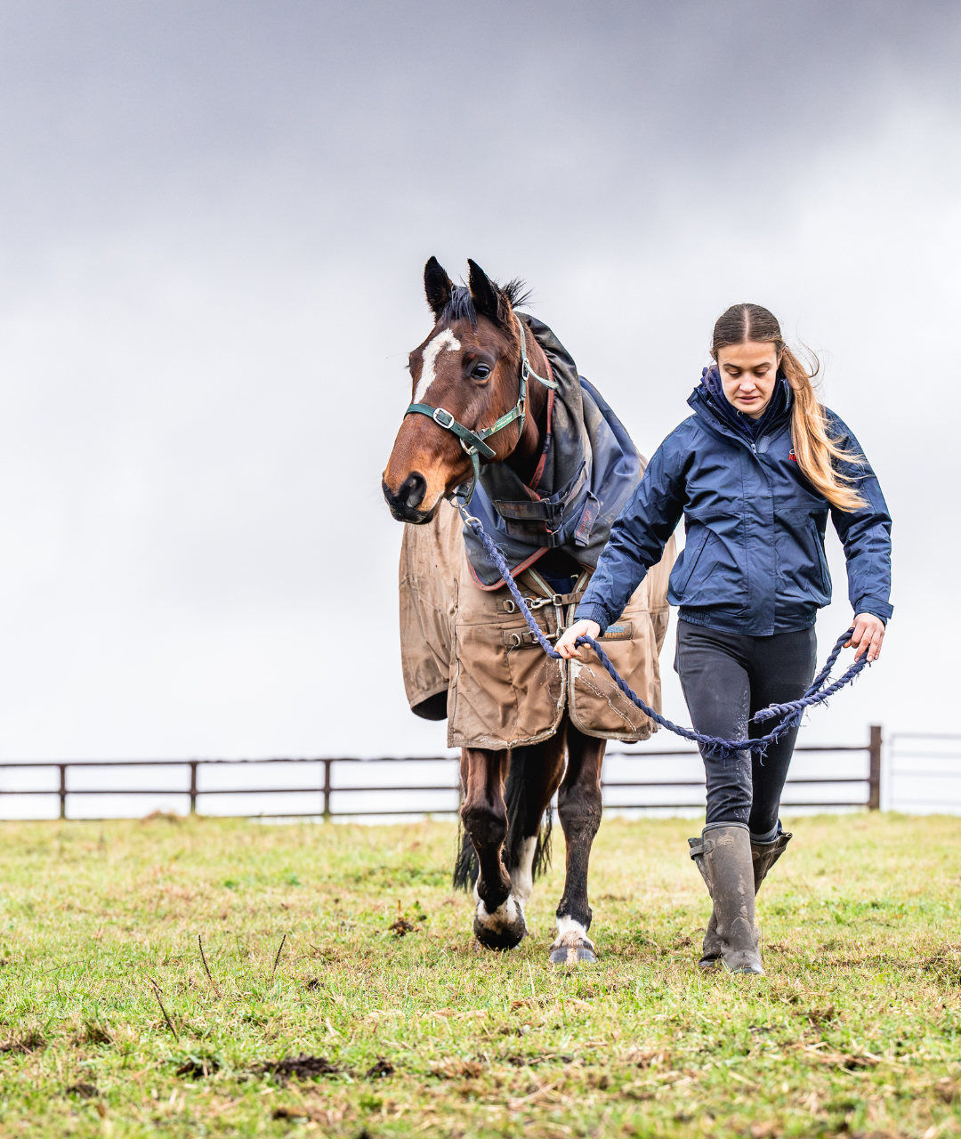Horse Colic Prevention: Feeding Strategies to Reduce Risk