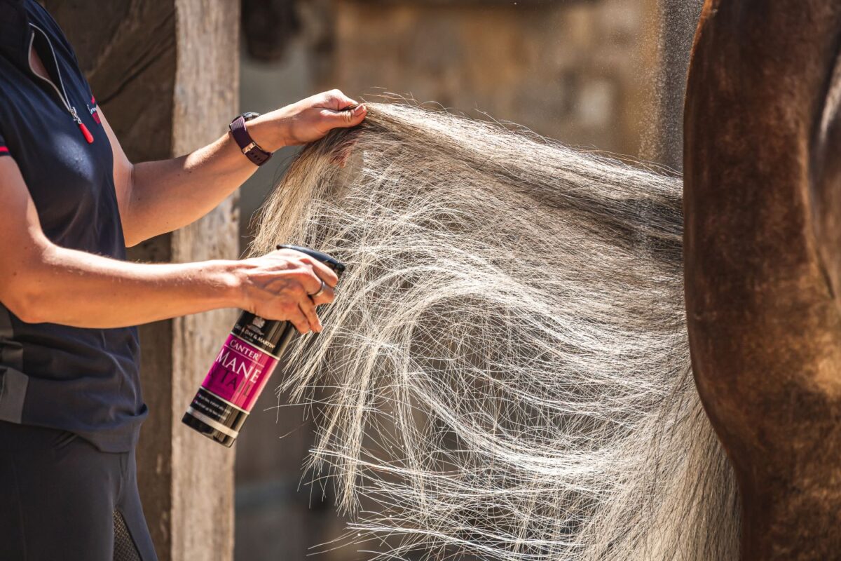 Sales Prep: A Practical Guide to the Finishing Touches