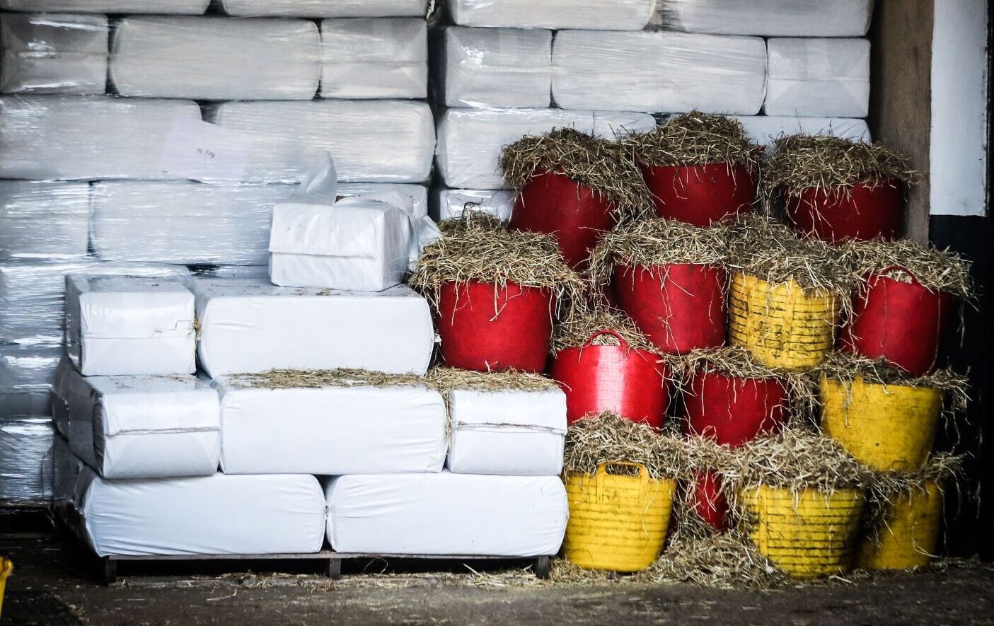 Sales Prep: A Practical Guide to Forage
