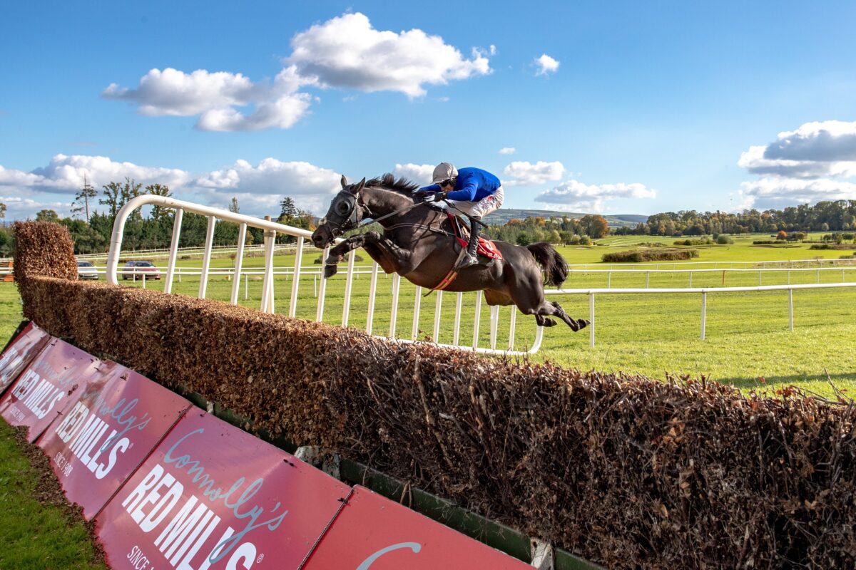 What makes RED MILLS stud range the no. 1 choice with top breeders & trainers?