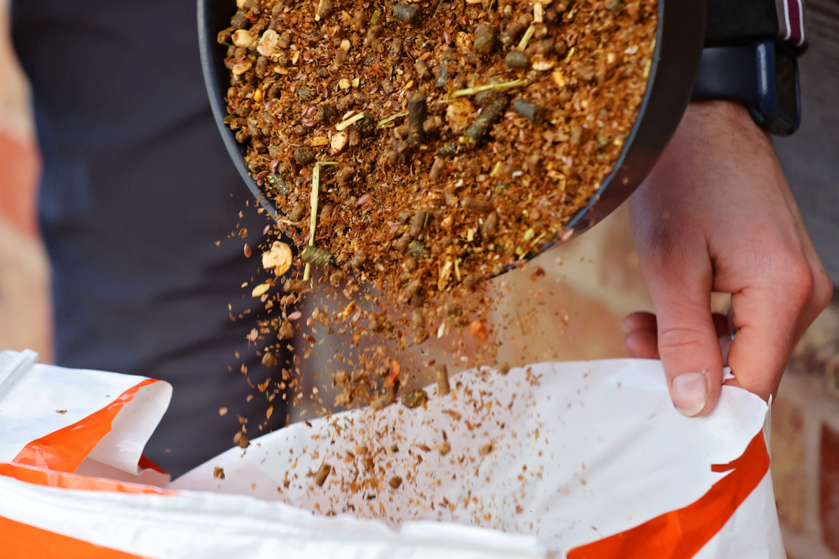 Benefits of Feeding a Horse Mash During Summer