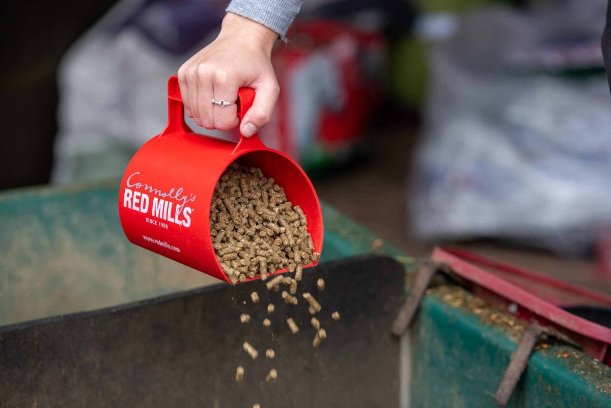 Your FAQs on new Horse Care Ultra Cubes