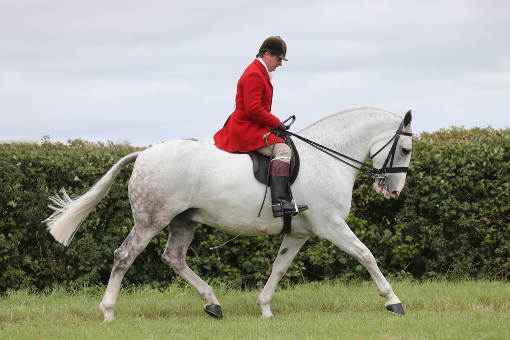 2022 Champion of Champions crowned at Tatts