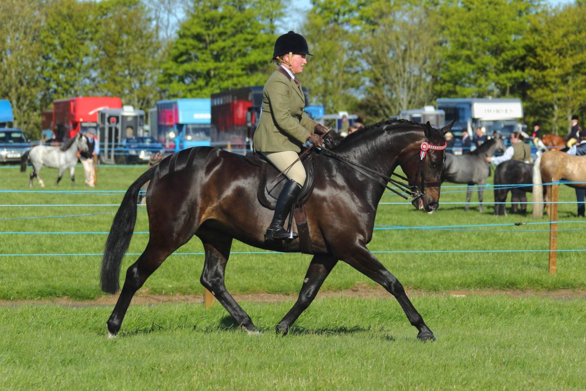 Amazing Aird adds new talent to Team Connolly’s RED MILLS