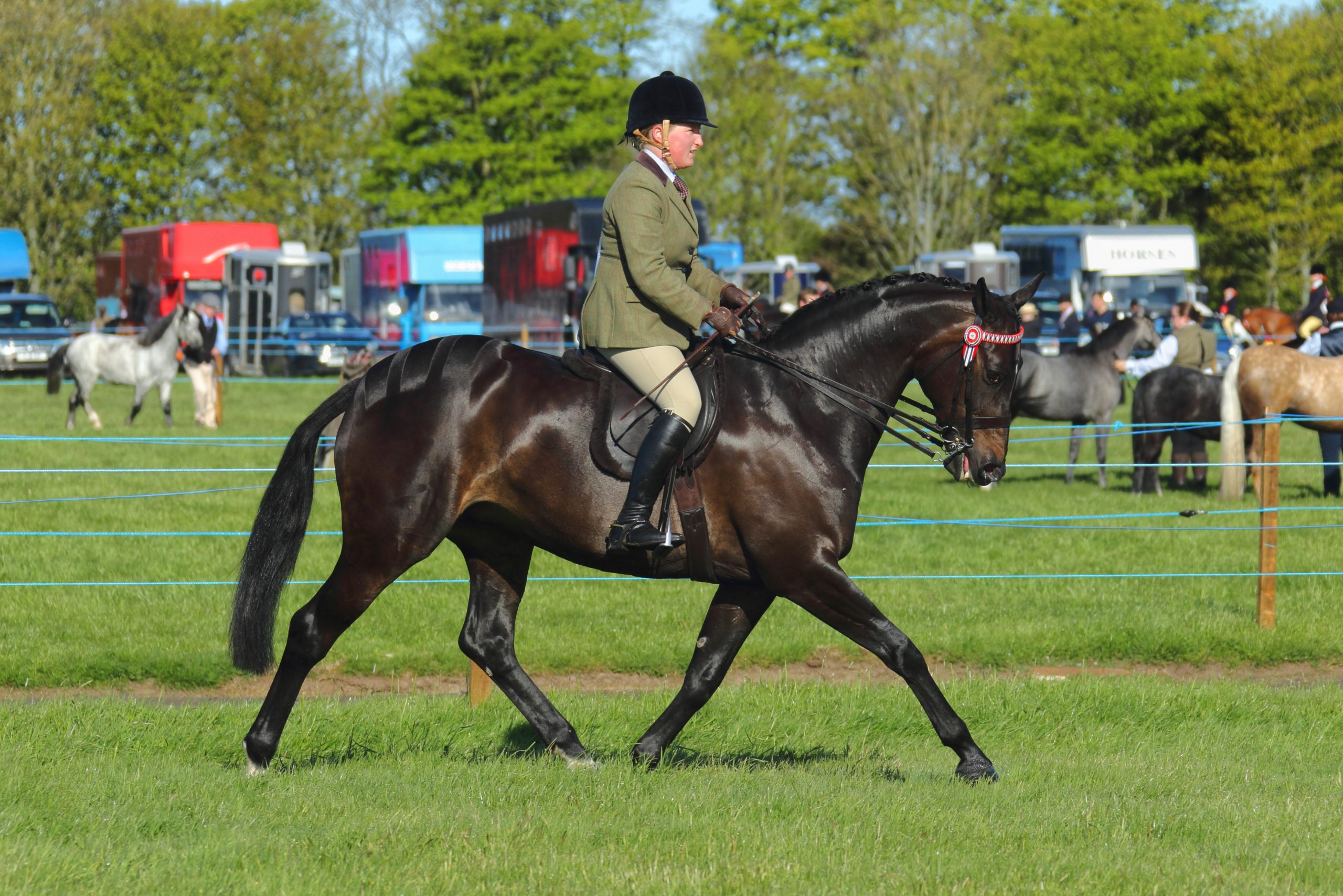 Amazing Aird adds new talent to Team Connolly’s RED MILLS