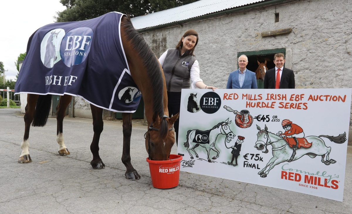 RED MILLS EBF Auction Series