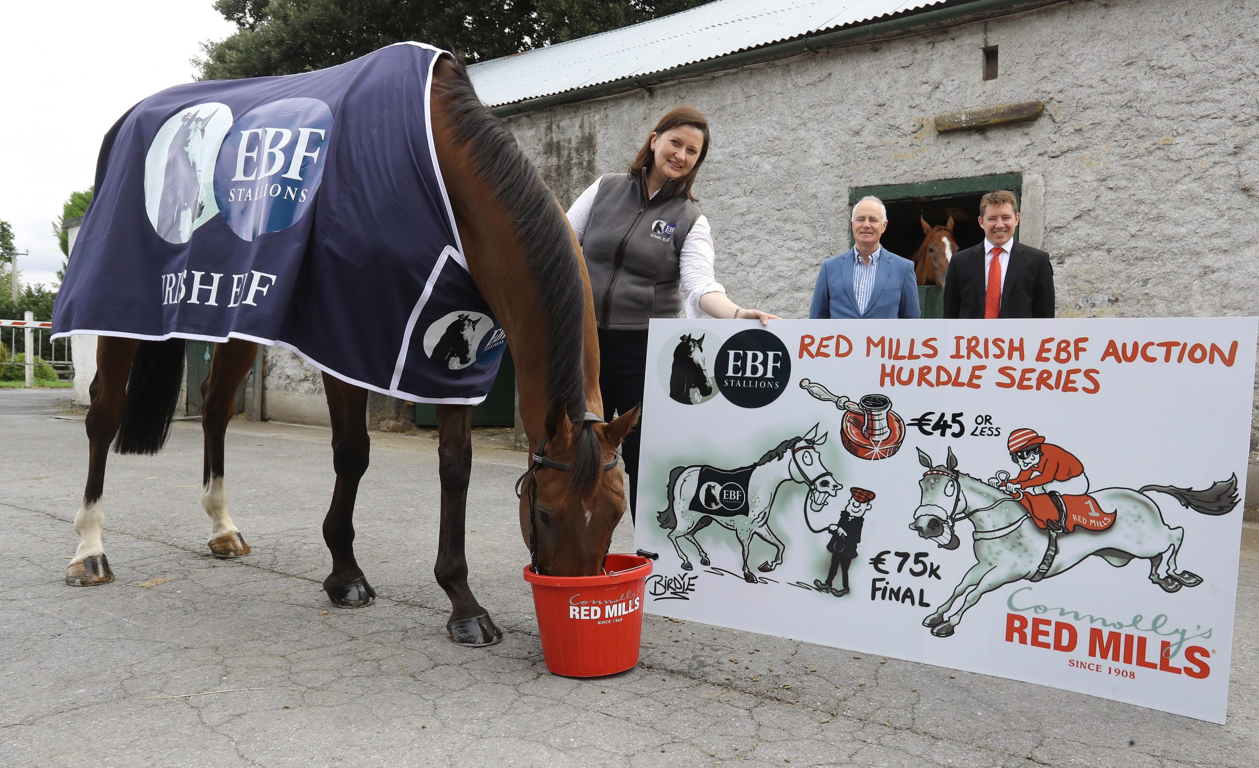 RED MILLS EBF Auction Series