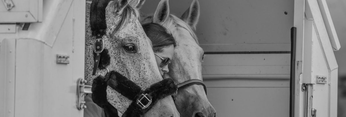 Irish superstars among world’s biggest equine airlift for FEI World Equestrian Games Tryon 2018