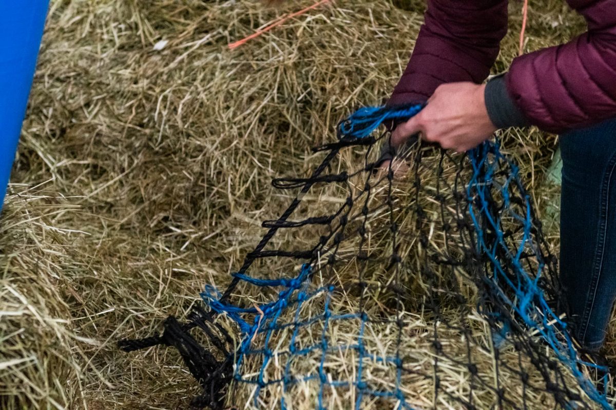 How much conserved forage does my horse need each day?