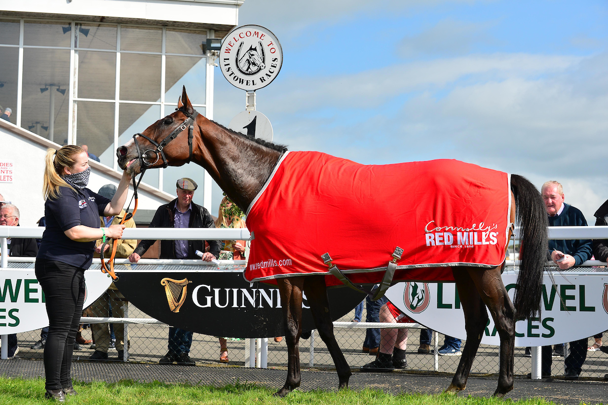 RED MILLS Irish EBF Auction Series returns for a Fifth Season
