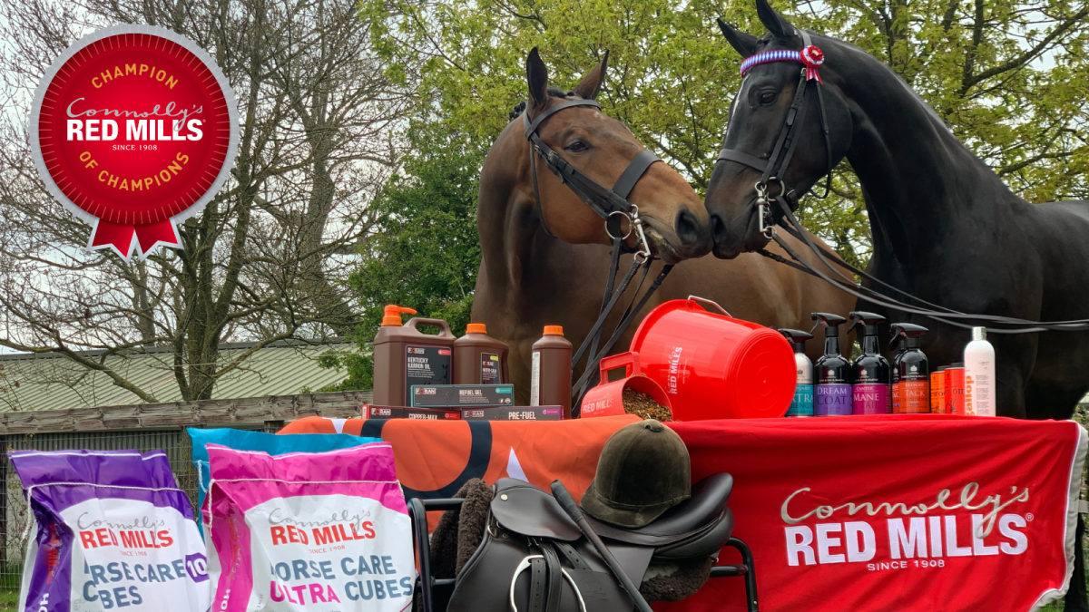 Qualified Combinations for 2021 RED MILLS Champion of Champions Final
