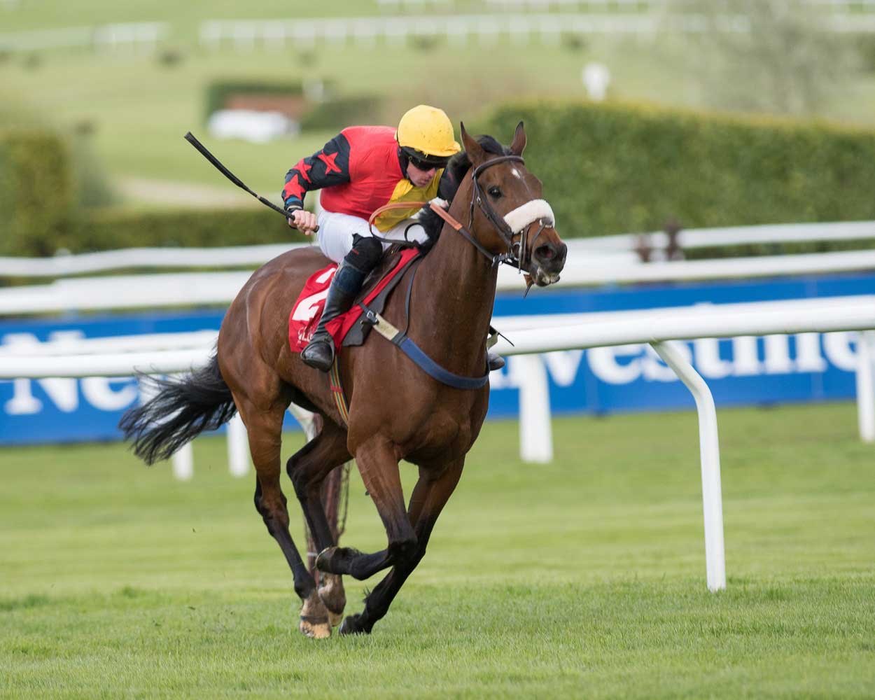 A Day in the life of a Thoroughbred Specialist