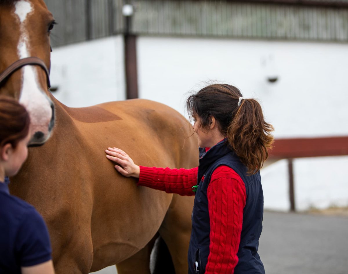 Passionate about Equine Nutrition?