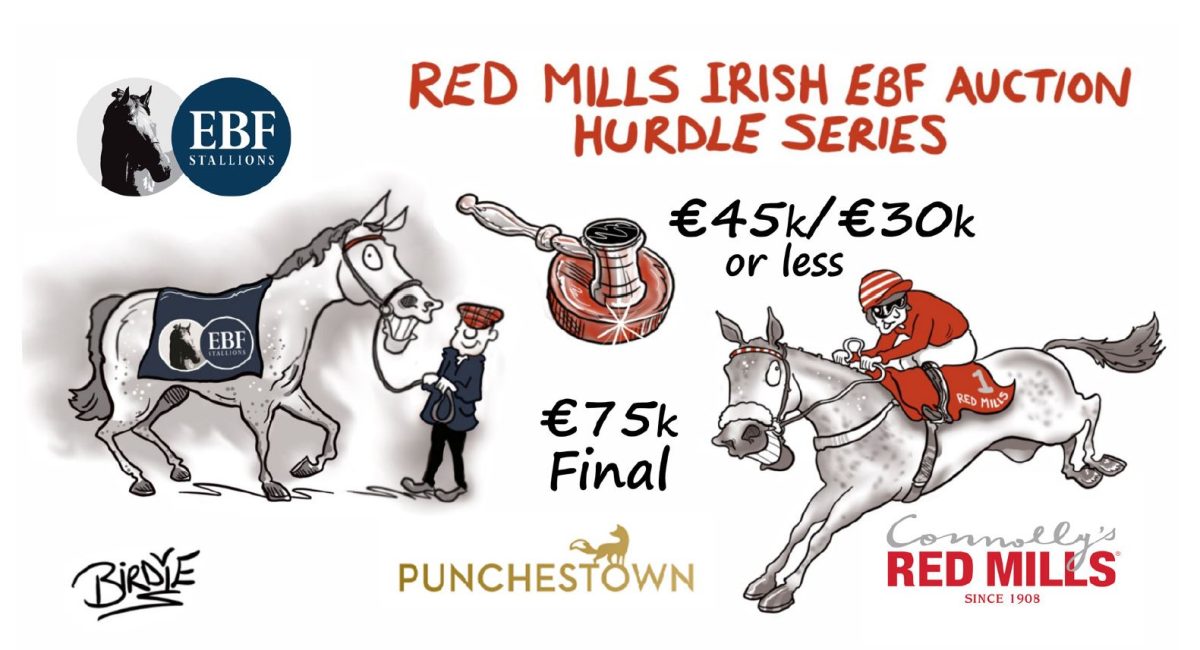 14 Declared for RED MILLS Irish EBF Final