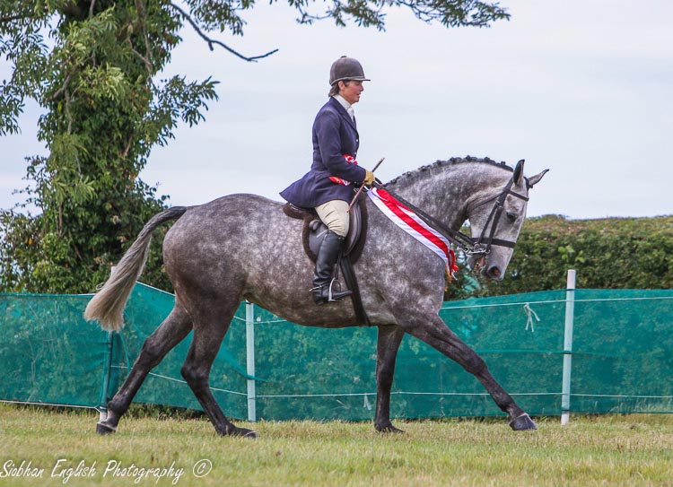 Bloomfield Waterfall crowned Connolly’s RED MILLS Champion of Champions