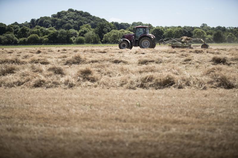 Hay vs. Haylage