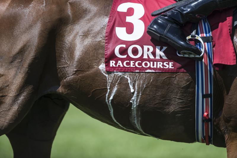 Should I add salt to my horse’s feed?