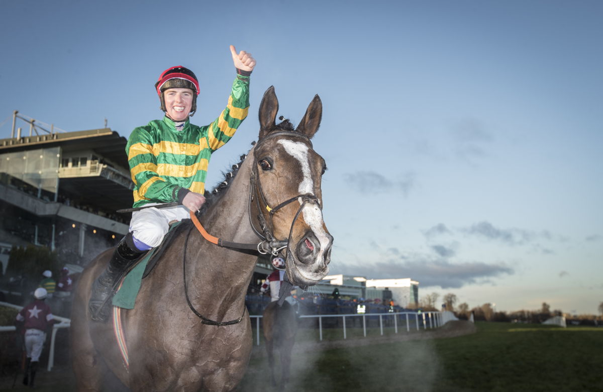 Anibale Fly set for Gowran Park as Martin eyes another Gold Cup bid