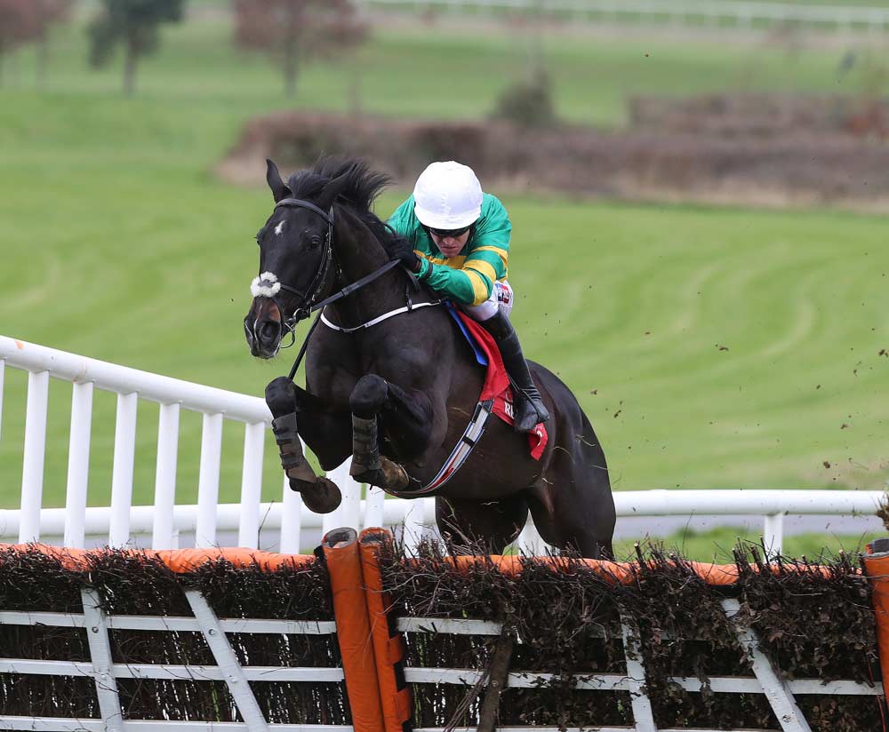Big Festival Credentials on the line at RED MILLS Day