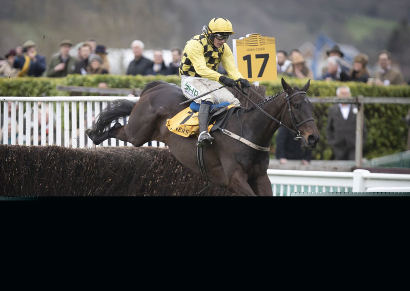Full entries revealed for opening three days of the 2019 Punchestown Festival