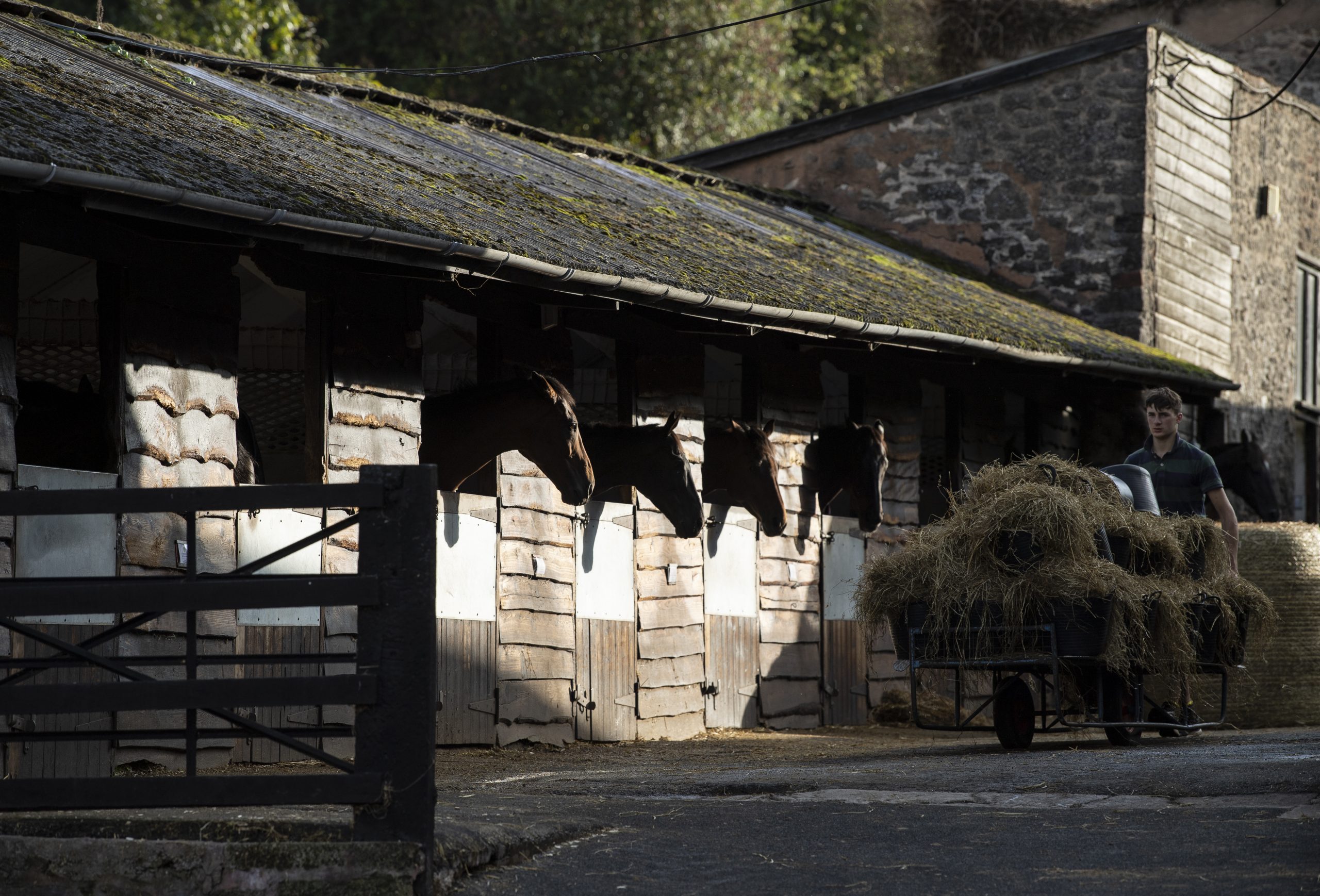 Winter care tips for you, your horse and your yard