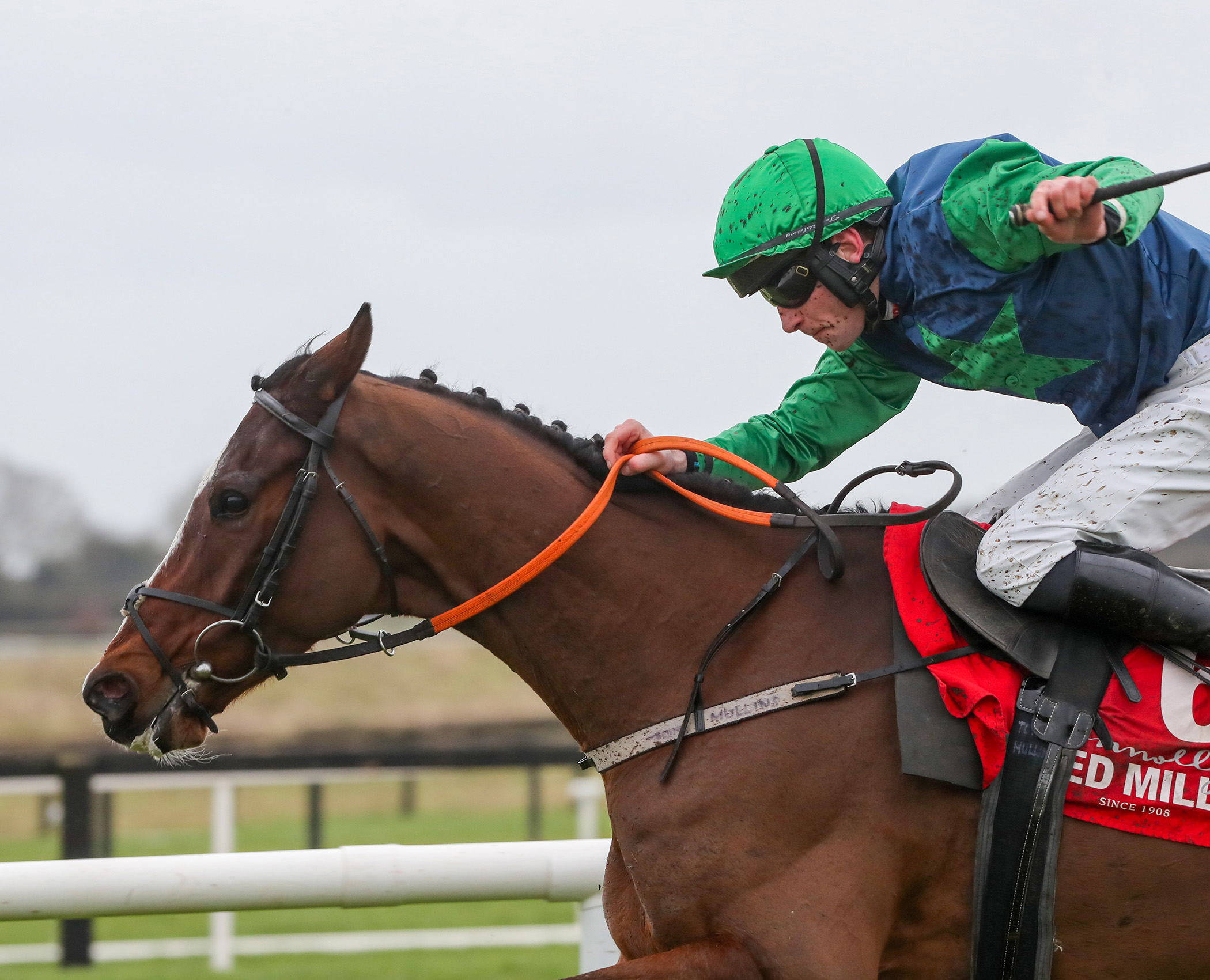 RED MILLS Irish EBF Auction Hurdle Final is Back