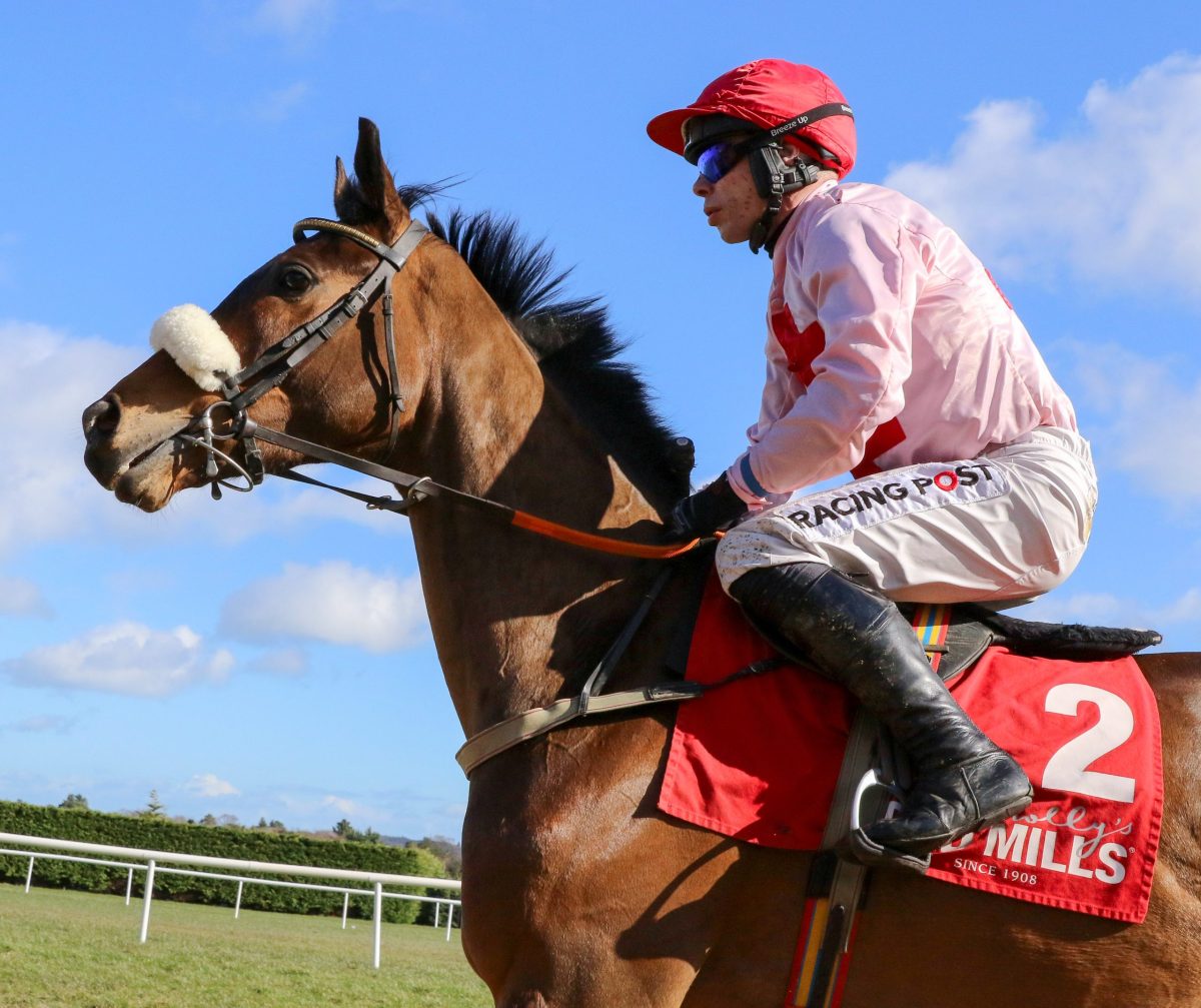 Additional Races added to RED MILLS Irish EBF Auction Series