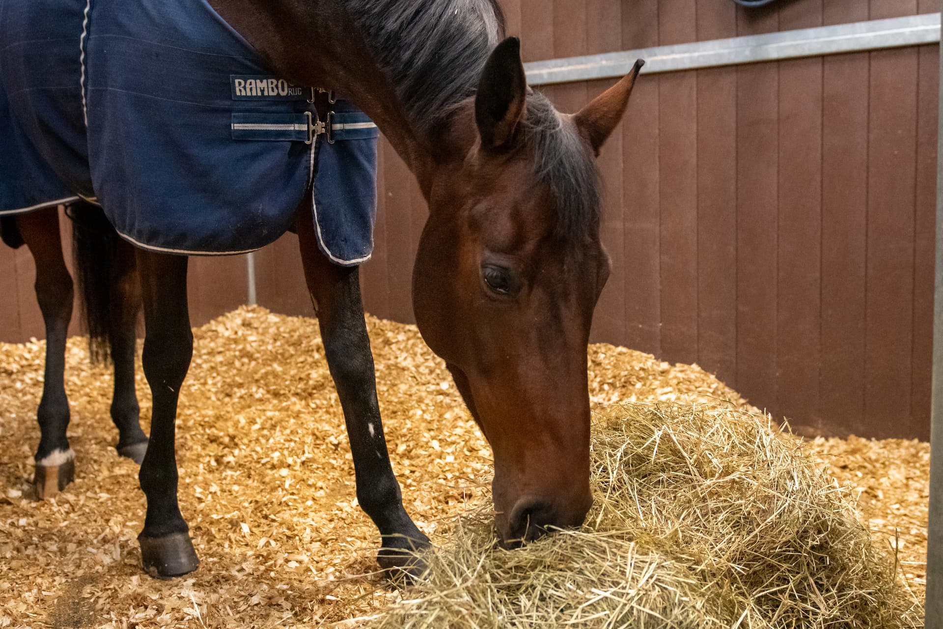 Is it true that I can feed less haylage than hay?