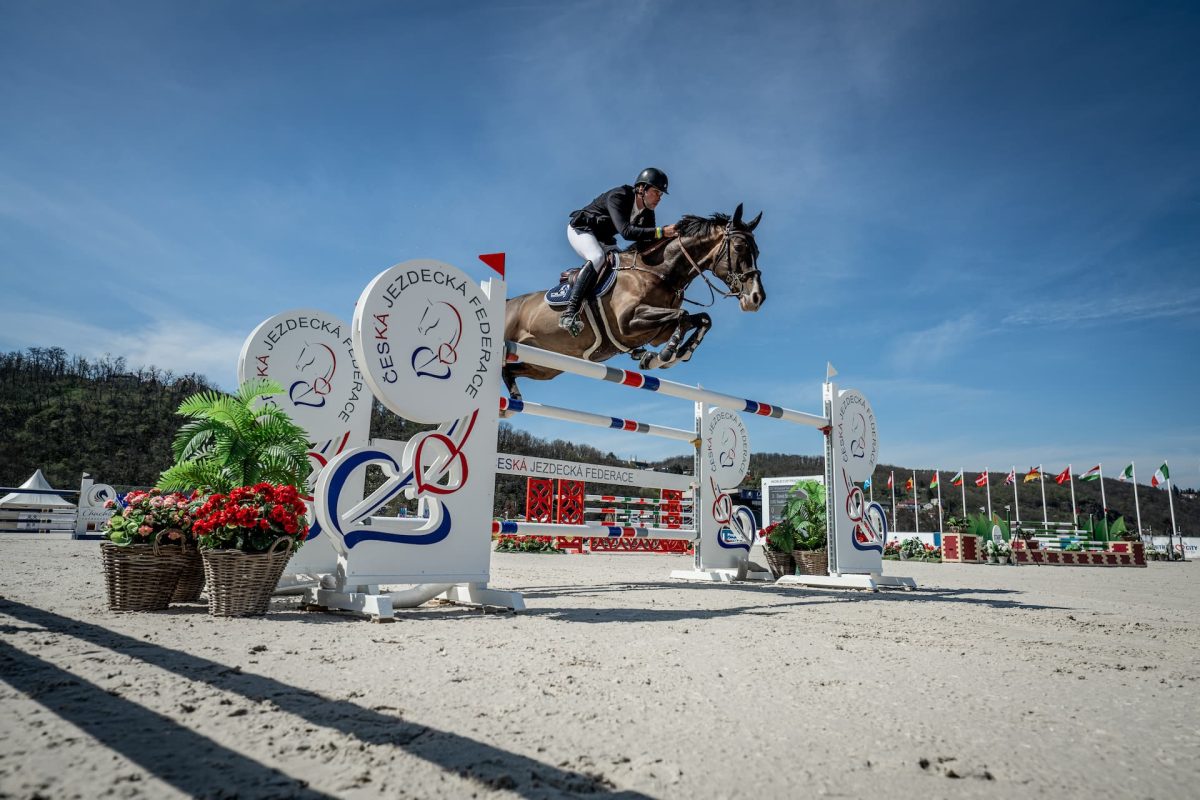 Feeding the Showjumper