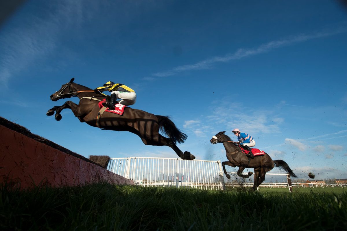 Feeding the National Hunt horse