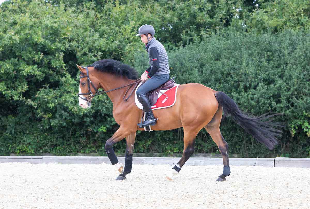 Scott Brash 