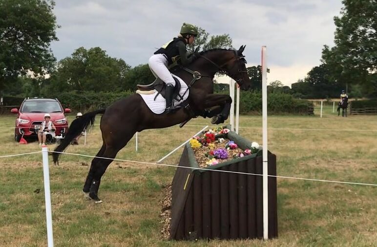 Retraining of Racehorses