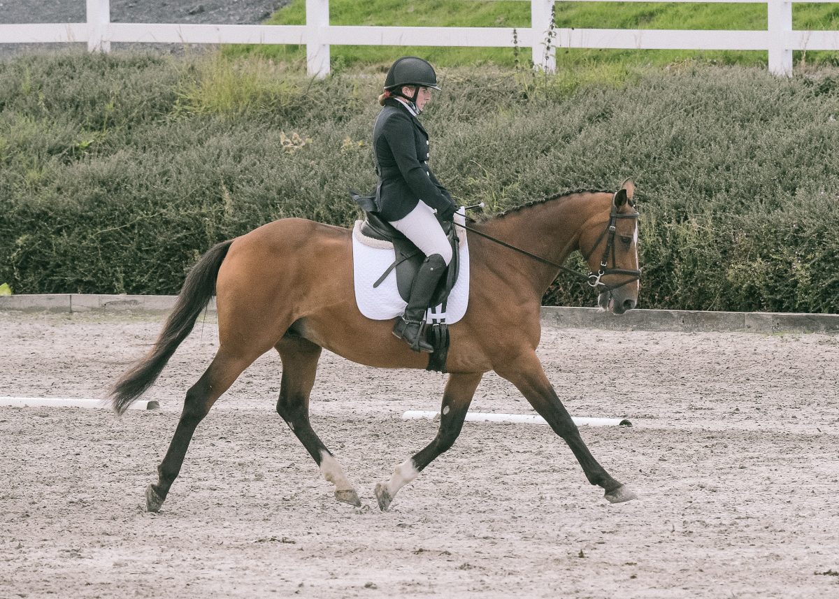 Wexford rider lifts Connolly’s Red Mills national dressage title on veteran horse