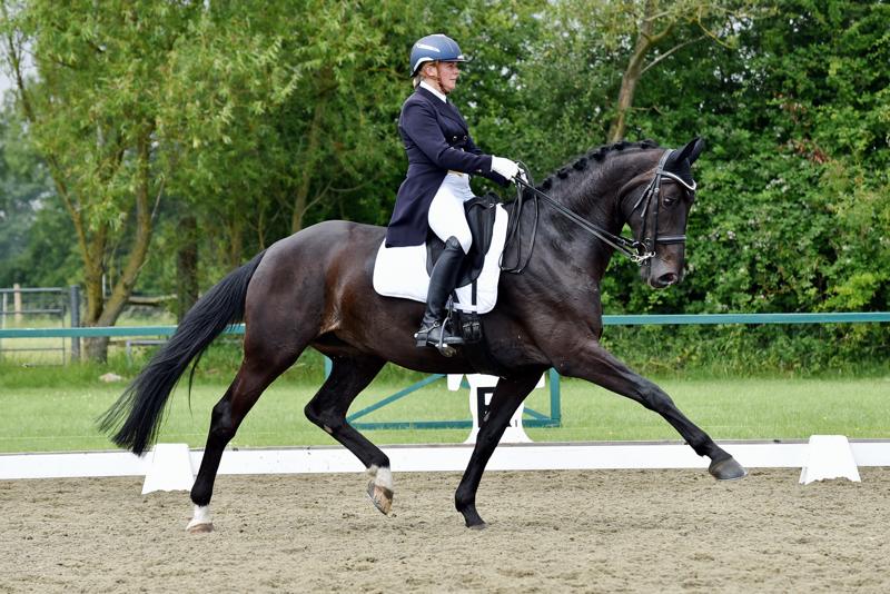 Superb podium finish in Windsor for RED MILLS rider Heike Holstein