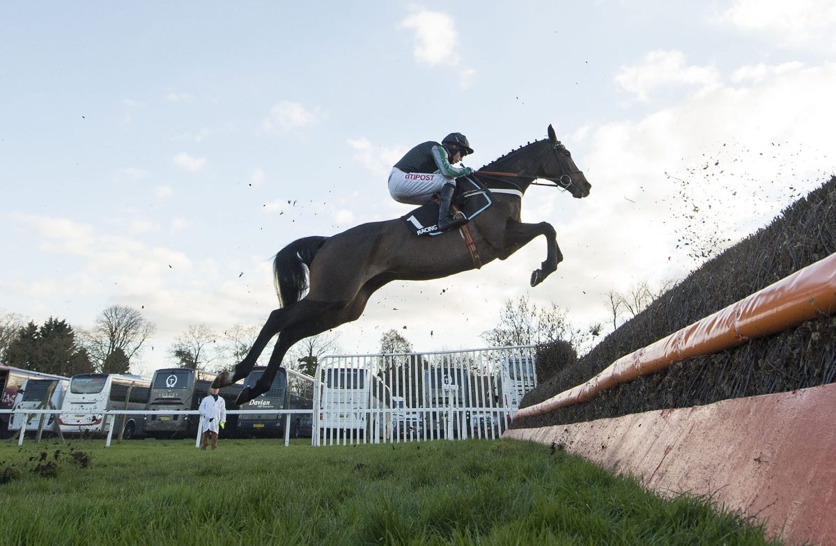 The Cheltenham Champion’s Choice