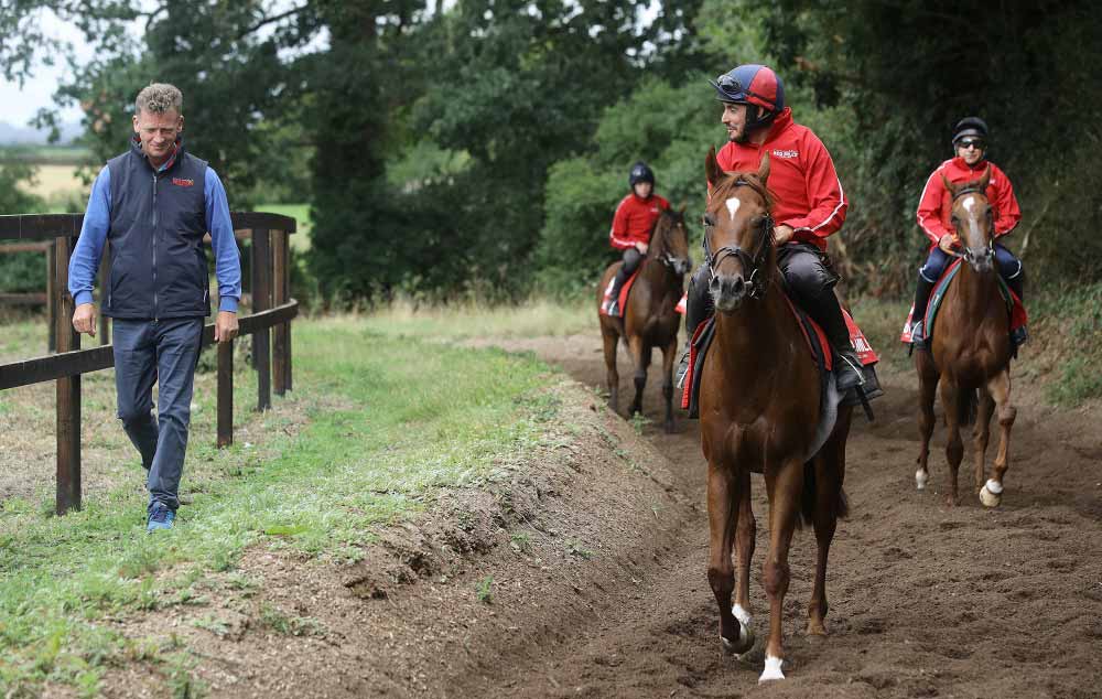 The Trainer-Jockey Relationship