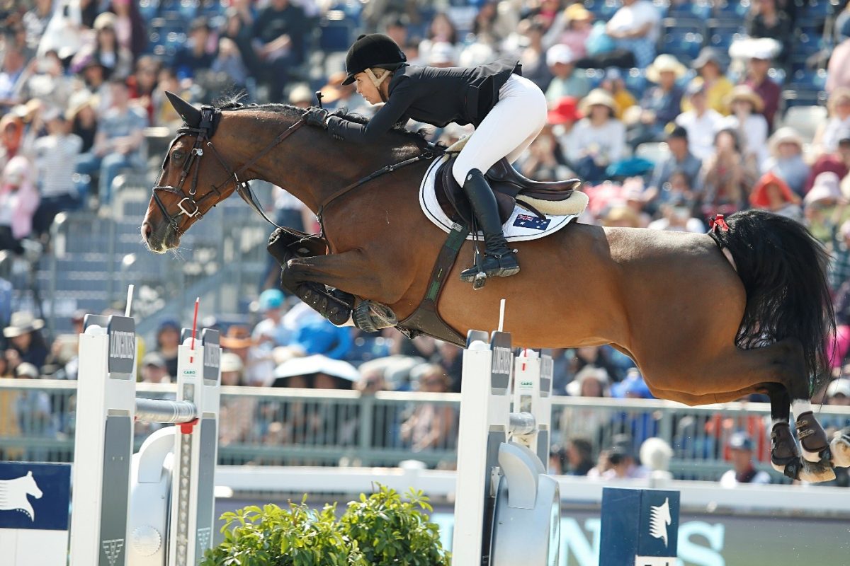 Ambassadors Success in 2015 – Showjumping