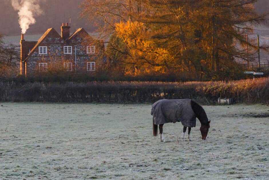 Does frosty grass increase laminitis risk?