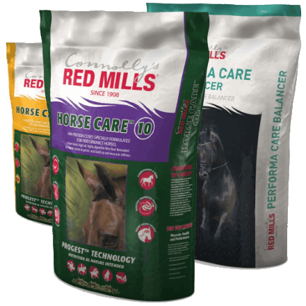 What are the latest products launched for feeding competition horses and what makes them different?