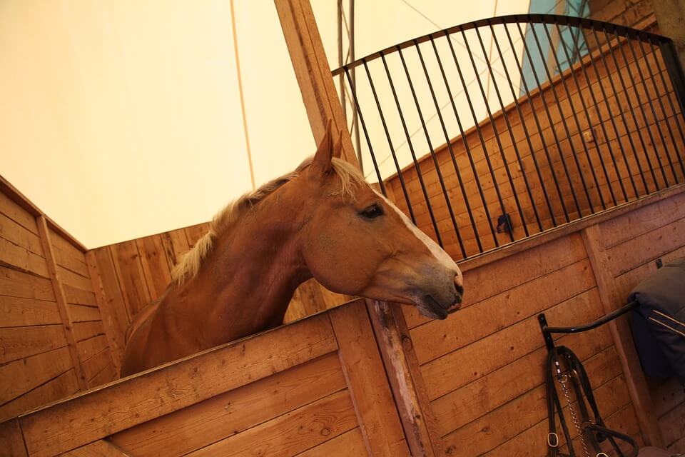 New Year’s Resolution for Feed & Tack Rooms