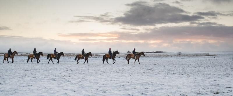 How do I prepare my horse for winter?