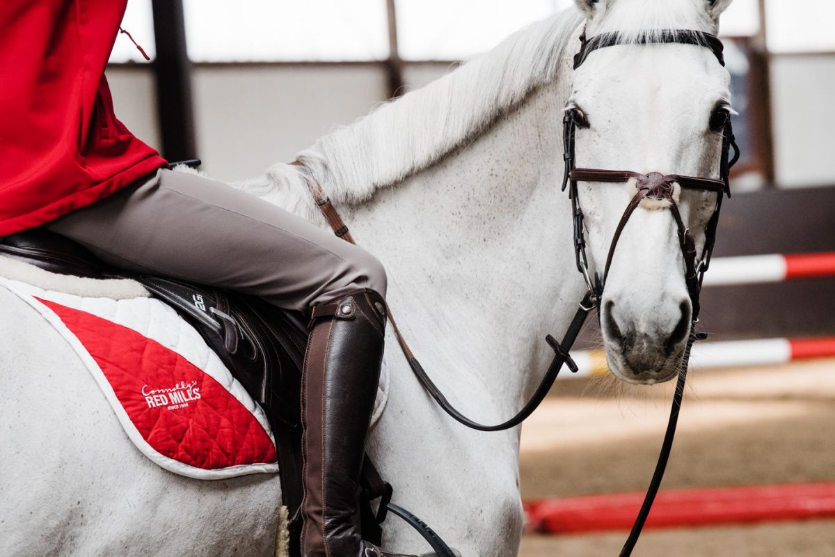 Horse Sport Ireland to send 16 athletes to represent Ireland at 2018 FEI World Equestrian Games at Tryon USA