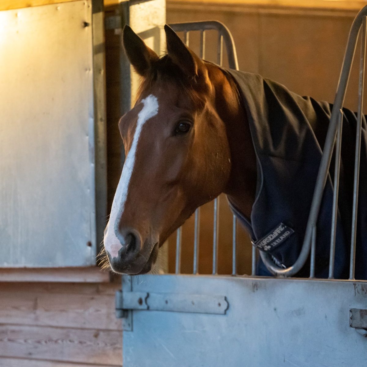 Beating Stable Boredom