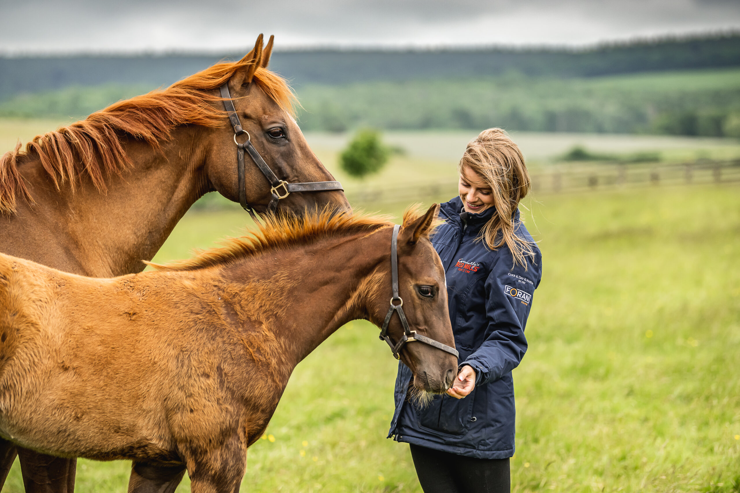 Essential Early Nutrition Habits That Build Quality Foals