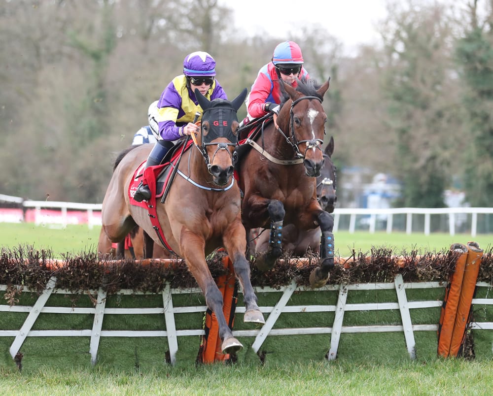 Entries announced for €75,000 Connolly’s RED MILLS Irish EBF Auction Hurdle Series Final