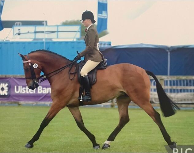 The road to the RDS – Ciara Mullen