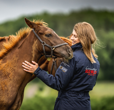 Foal Sales Preparation: Nutrition & Feeding Guide