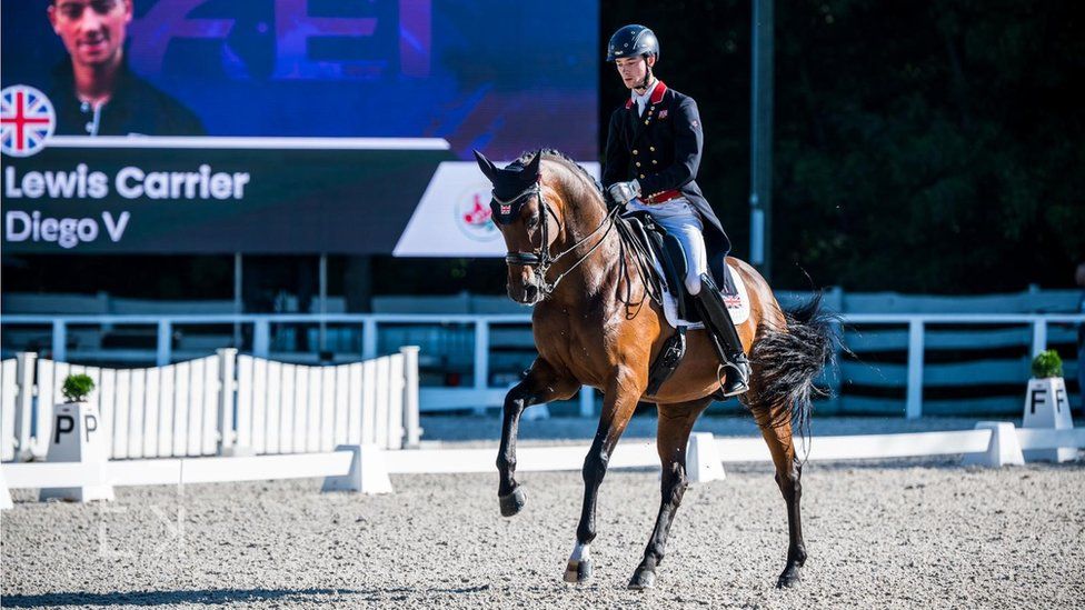 Feeding the Dressage Horse