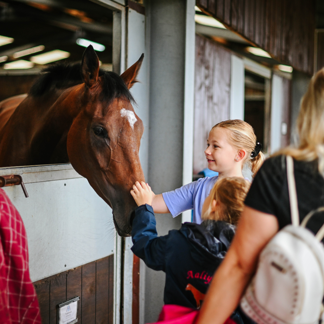 Behind the Scenes: Celebrating the Heroes of Racing at National Racehorse Week 2024