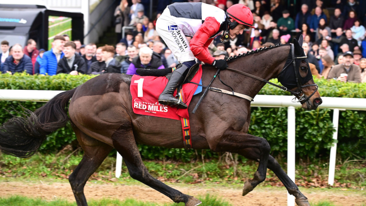 Saint Sam The Headline Act For RED MILLS Raceday